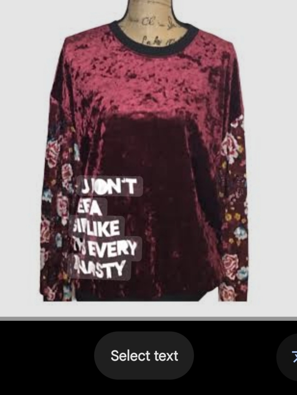 Disney Princess, Velvet Floral Sleeve Burgundy Graphic Pullover